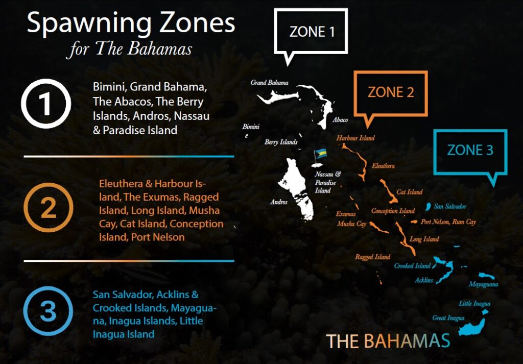 Spawning zones for The Bahamas separated in three regions based on ...